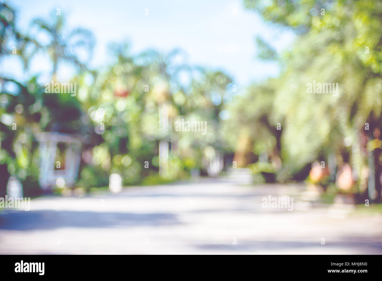 La sfocatura dello sfondo parco all'aperto con struttura ad albero e bokeh luce e strada nella giornata di sole Foto Stock
