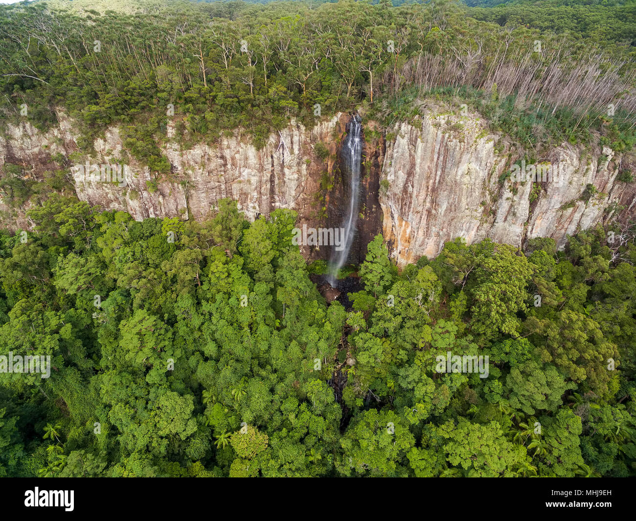 Rainbow Falls, Springbrook National Park, Queensland, Australia Foto Stock