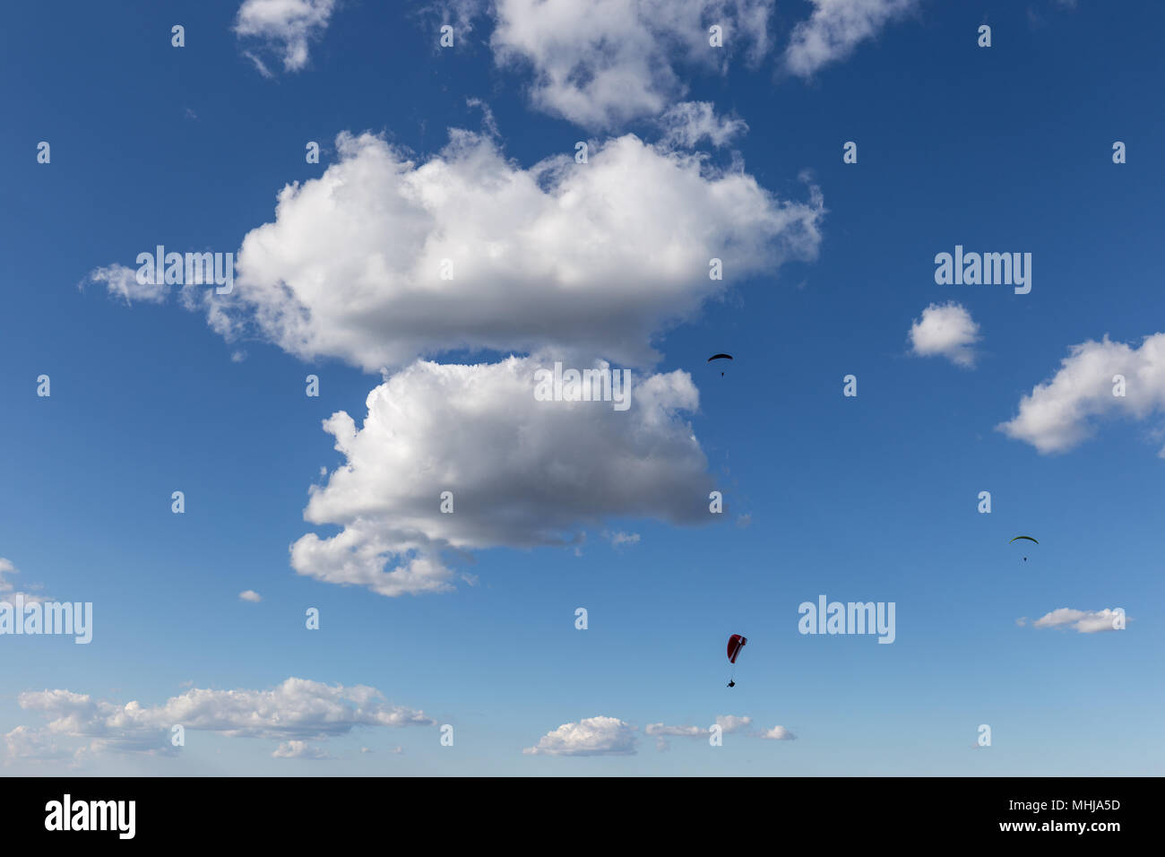 Alcuni parapendii battenti contro un bellissimo profondo cielo blu, con grandi nuvole bianche Foto Stock