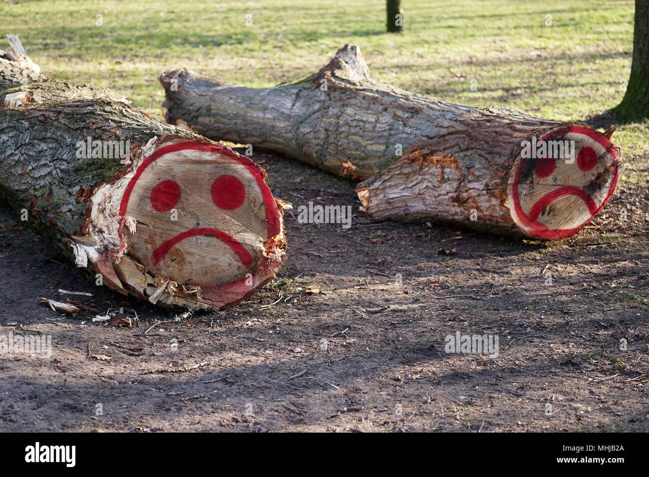 Abbattuto tronchi di alberi con una triste faccina graffiti spruzzato su di essi con vernice rossa Foto Stock