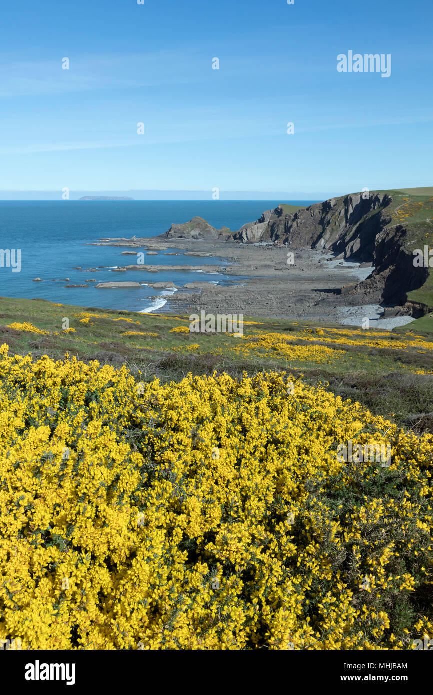 Lundy da Blackpool mulino; Devon, Regno Unito Foto Stock