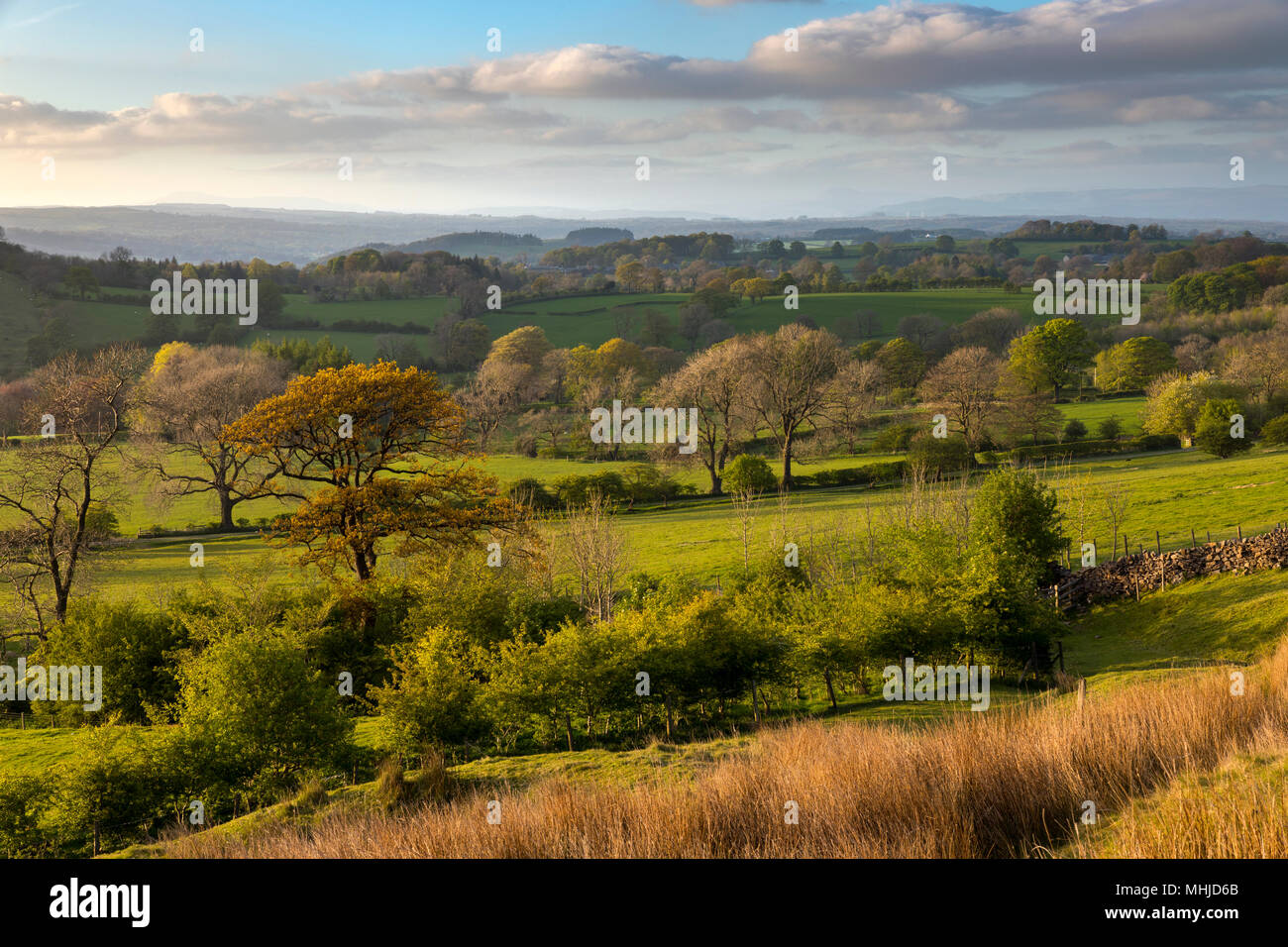 Worston Moor; sera; Lancashire, Regno Unito Foto Stock