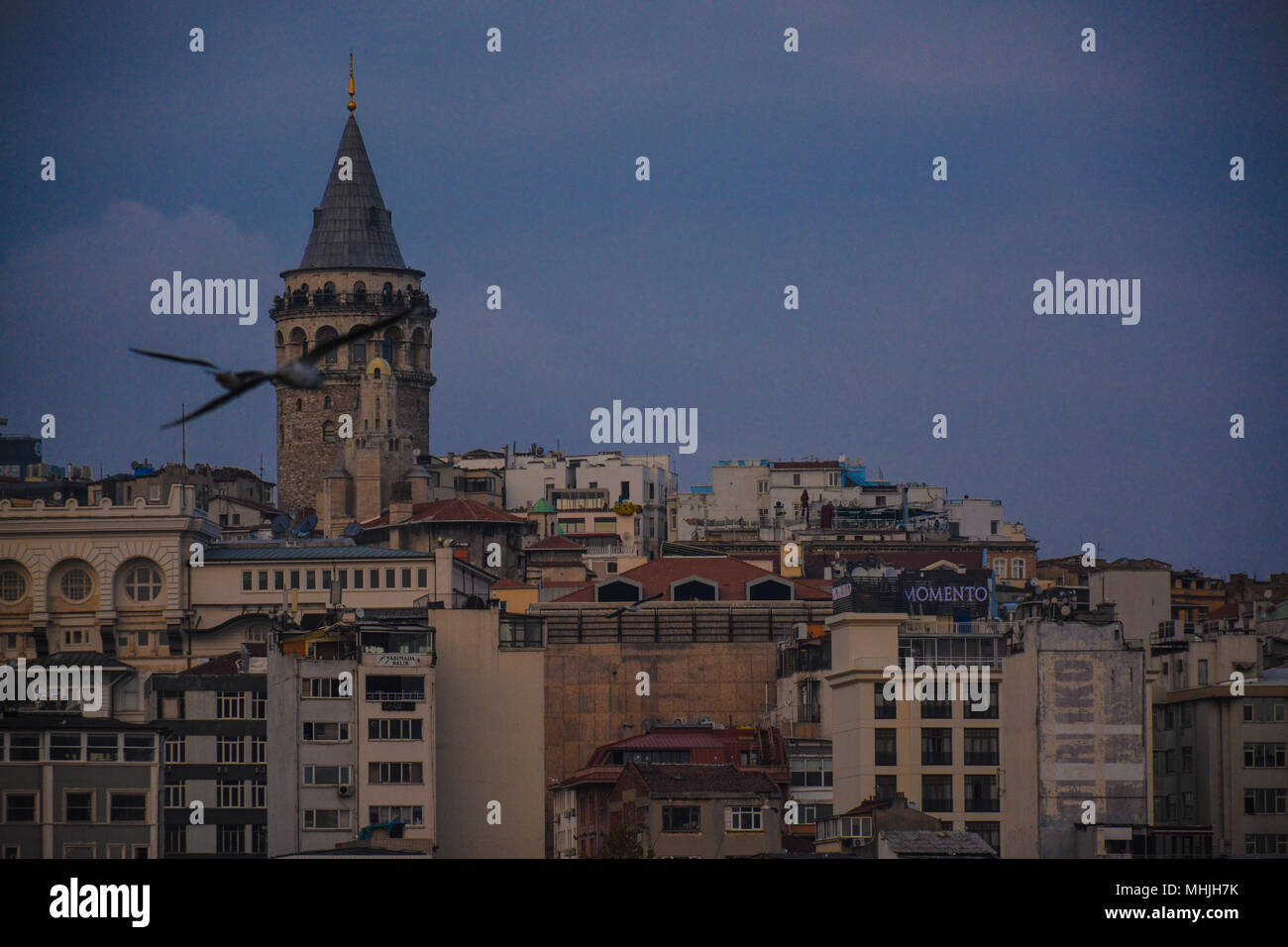 Torre di Galata a Istanbul, Turchia. Foto Stock
