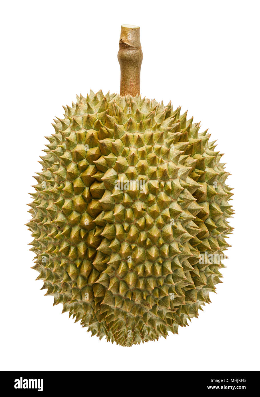 Frutta Durian dalla Tailandia isolati su sfondo bianco Foto Stock