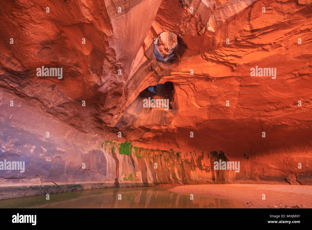 Golden cattedrale grotta in neon canyon di escalante di drenaggio in Glen Canyon National Recreation Area vicino a Escalante, Utah Foto Stock