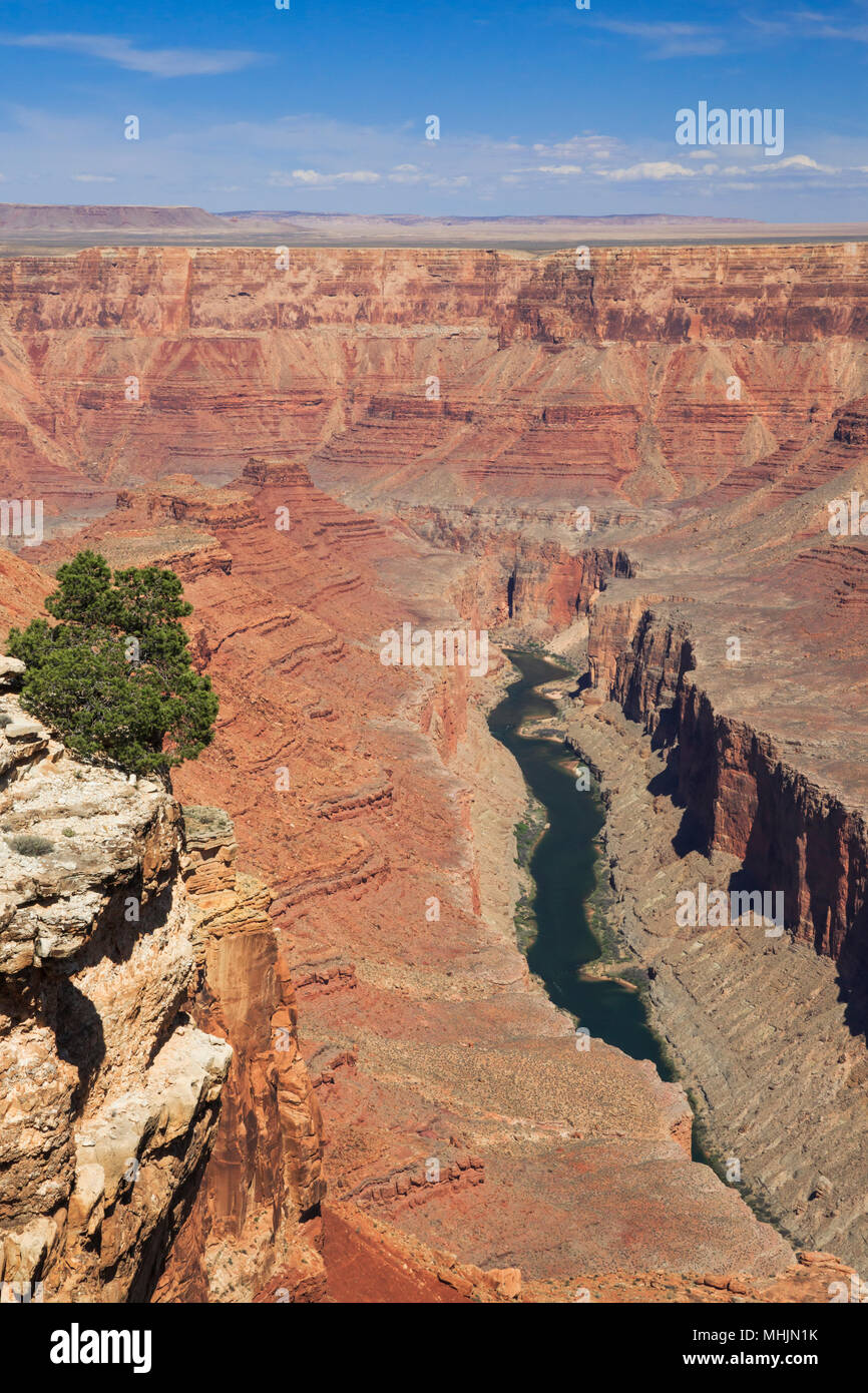 Marble Canyon del Fiume Colorado nel triplo alcove area del parco nazionale del Grand Canyon, Arizona Foto Stock