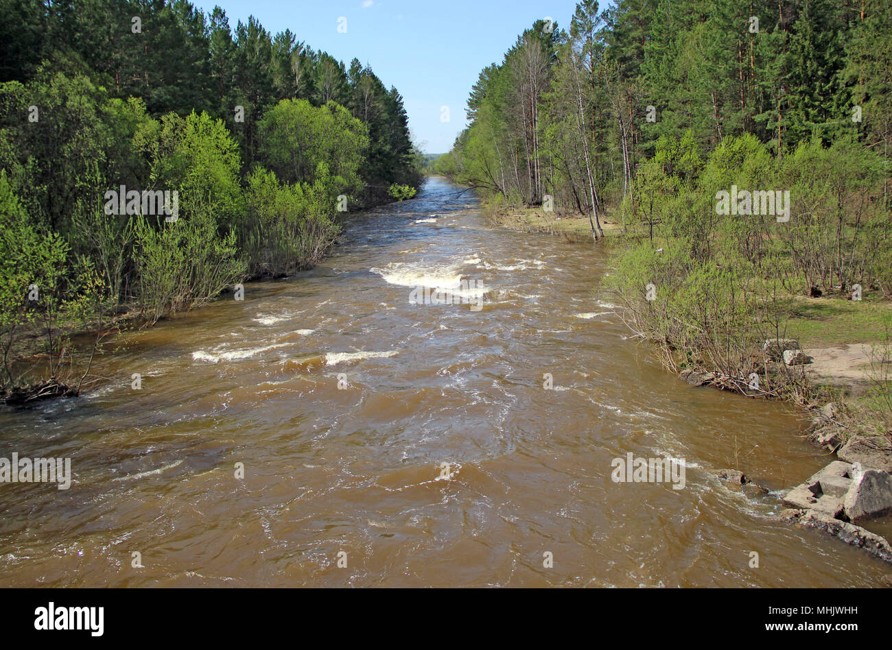 Immagine di panorama di piccole e veloci fiume porta la sua acqua tra il verde di alberi e cespugli e il blu cielo senza nuvole su CI Foto Stock
