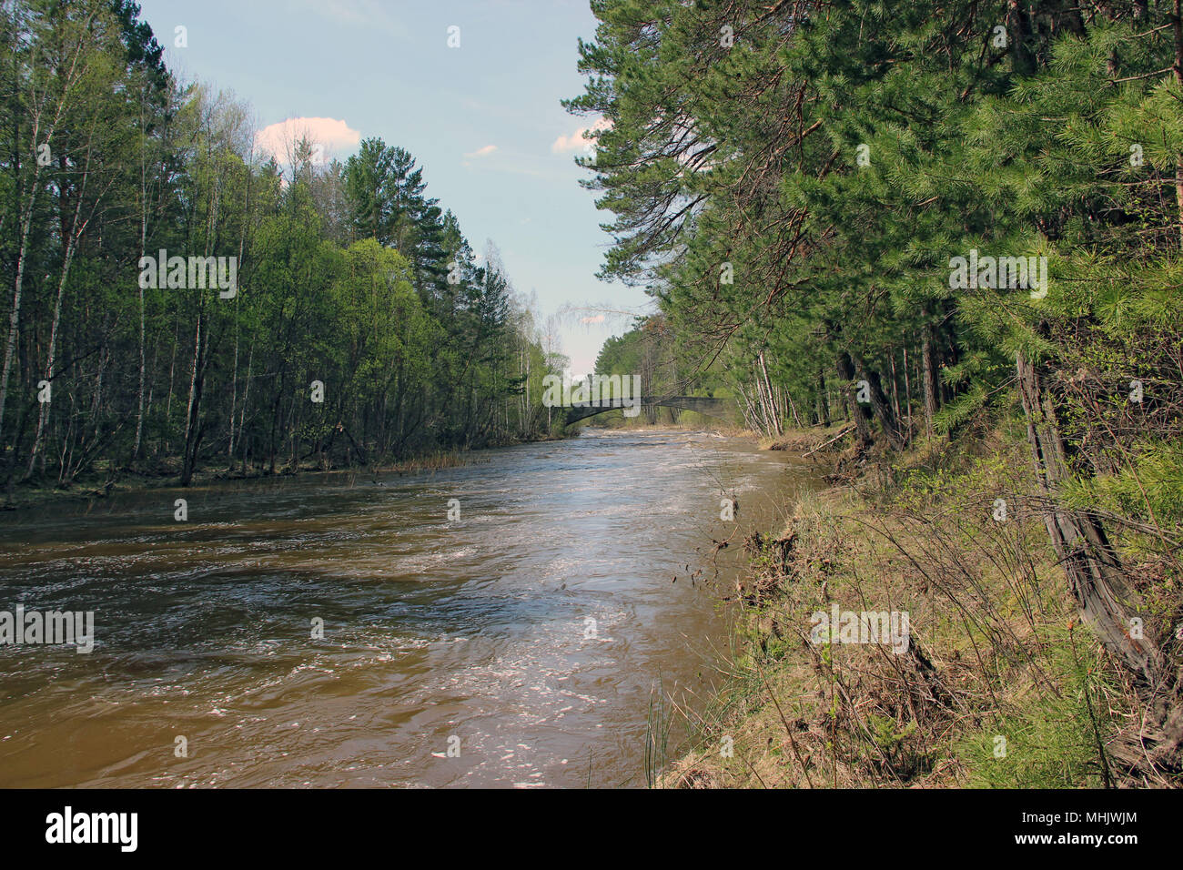 Immagine di panorama di piccole e veloci fiume porta la sua acqua tra il verde di alberi e cespugli, cielo blu, e Ponte Vecchio davanti Foto Stock