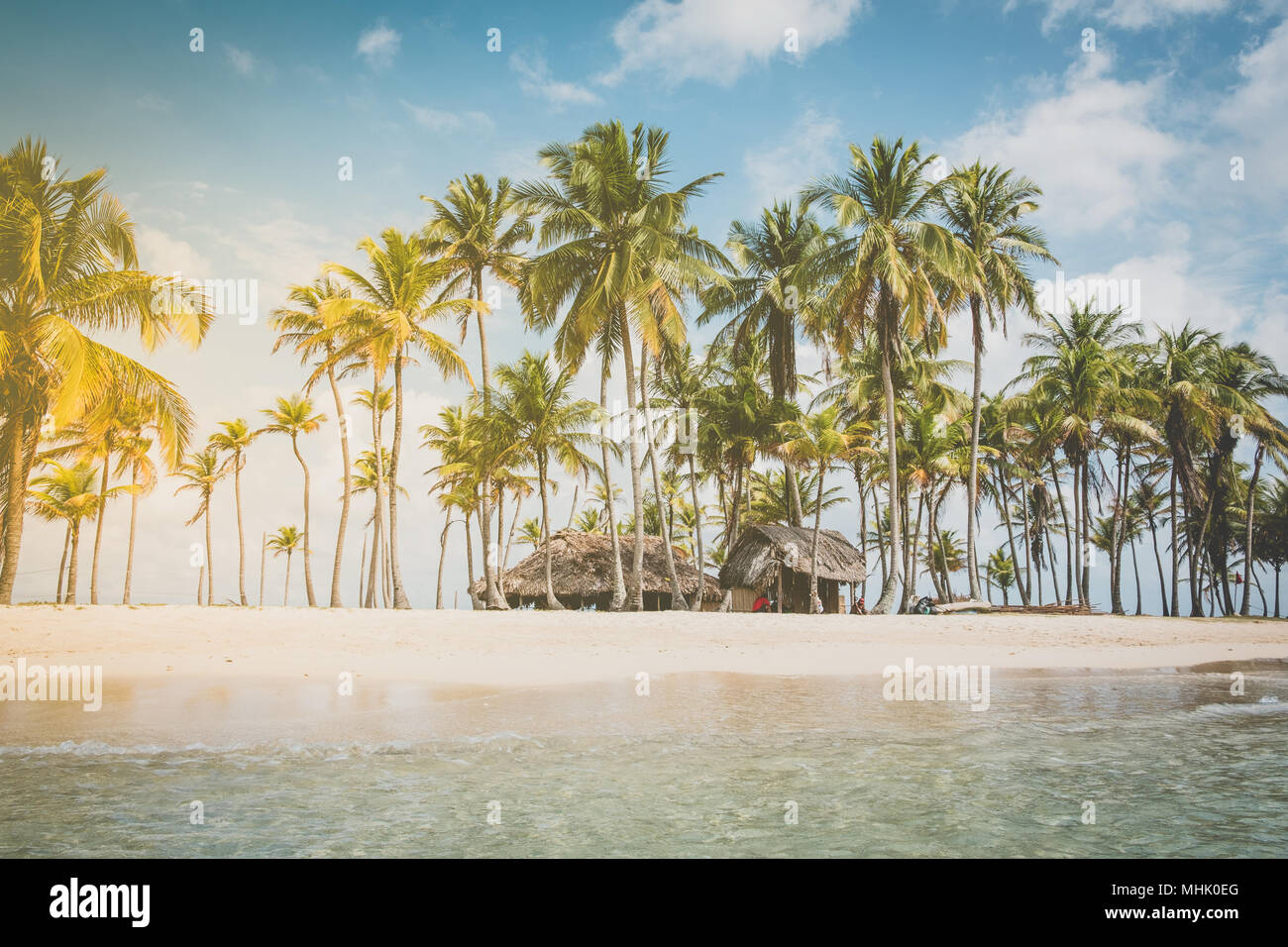 Spiaggia , palme e cielo blu - sfondo di vacanza Foto Stock