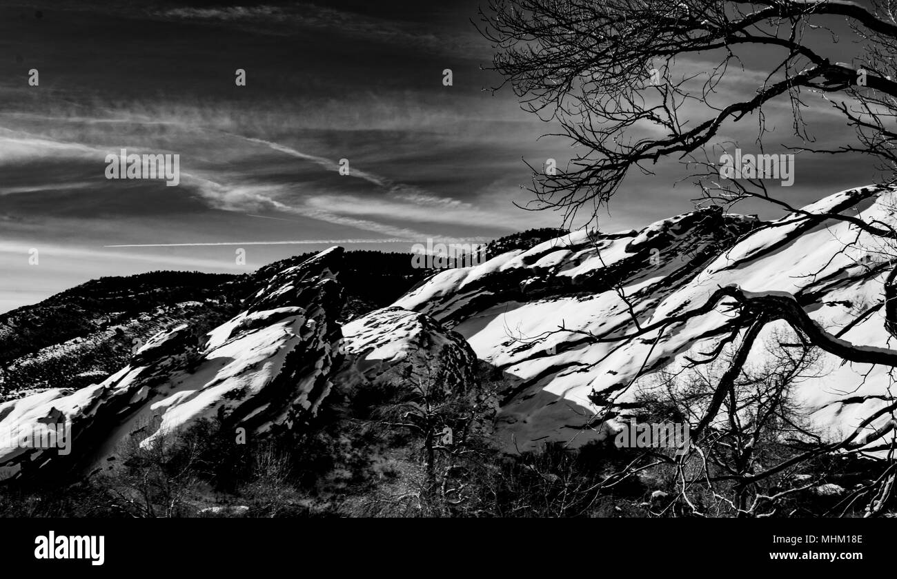 In bianco e nero sulle montagne e rami di alberi. Foto Stock