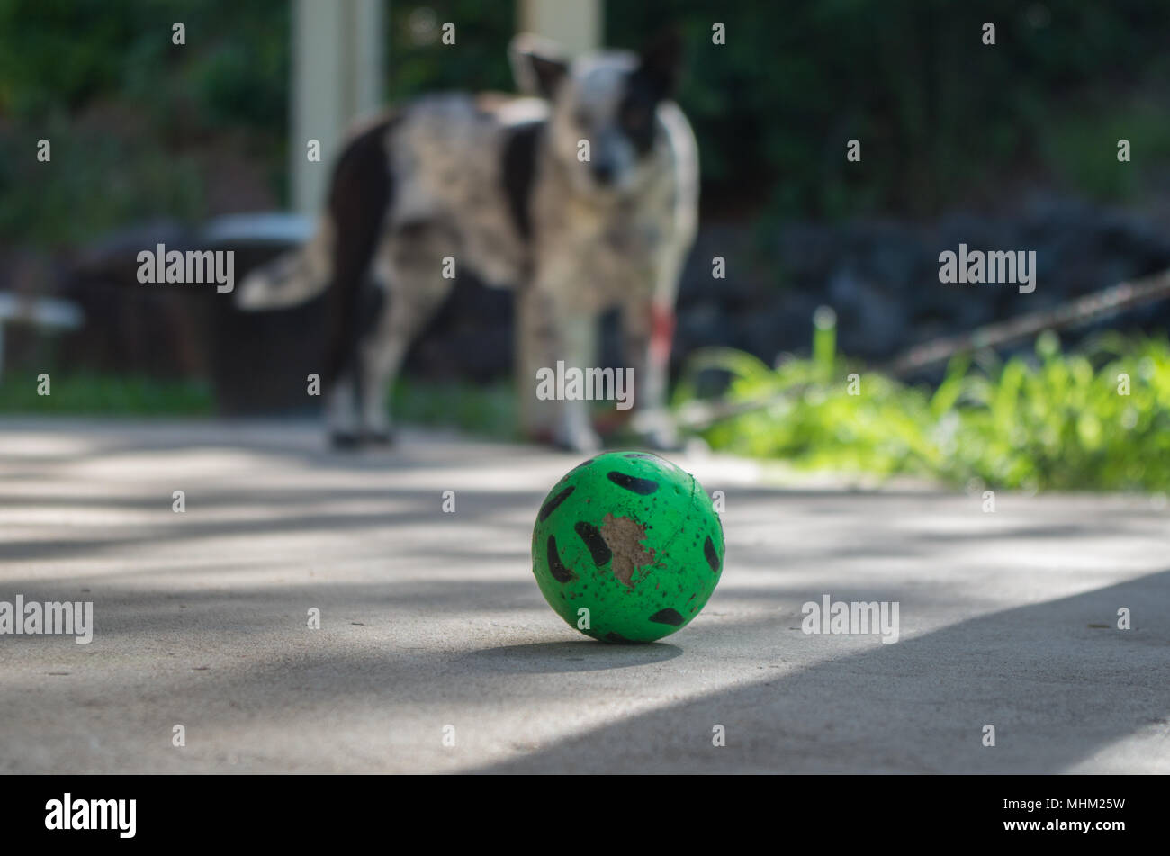 Tenete un occhio sulla palla Foto Stock