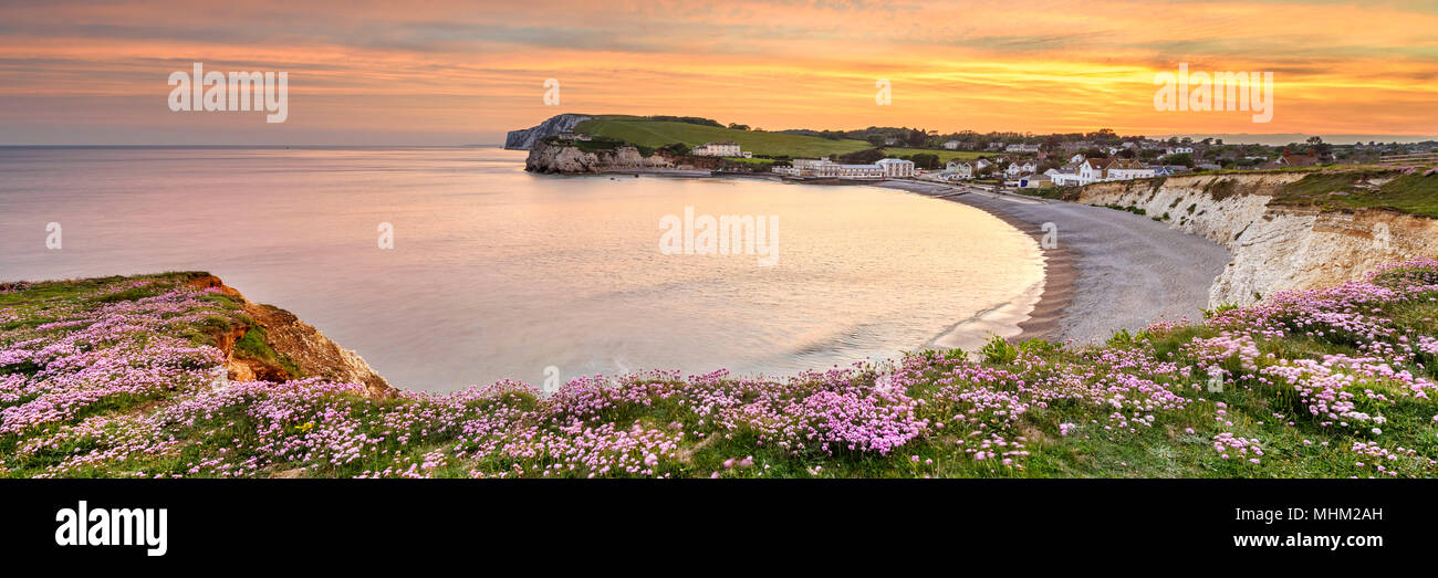 Panorama sul mare, rosa, rosa parsimonia presso la costa della Baia di acqua dolce Foto Stock