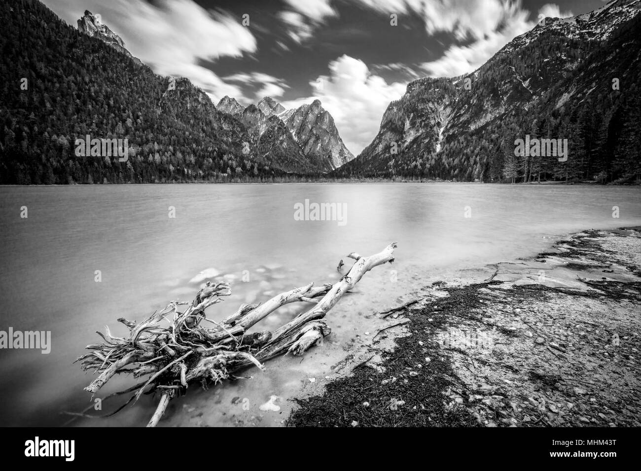 Dettaglio del lago di Dobbiaco sulle alpi italiane Foto Stock