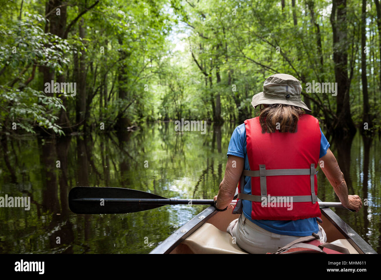 NC01803-00...North Carolina - Canoa Bennetts Creek in mercanti Gora parco dello stato. Foto Stock