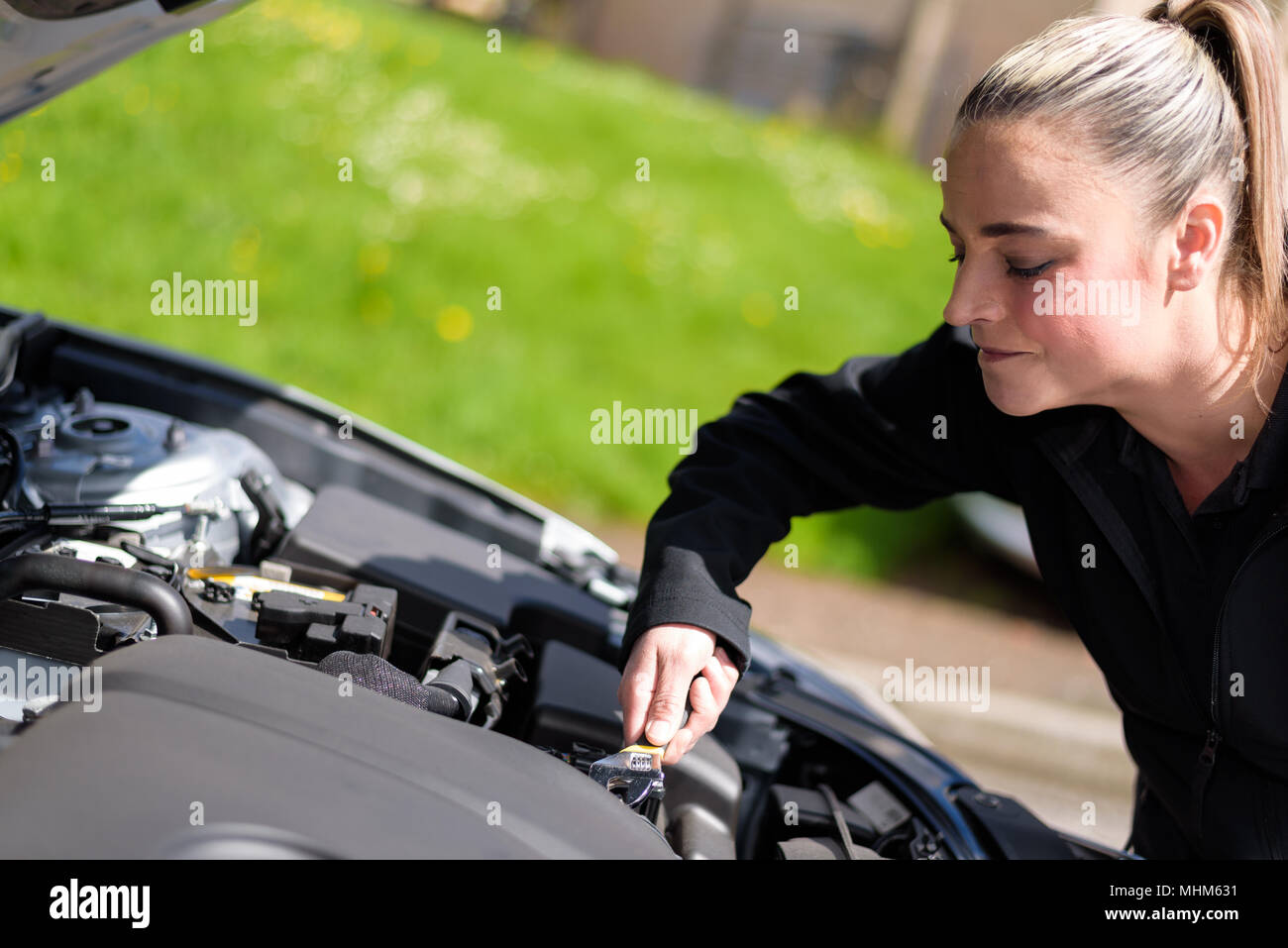 Auto controllo meccanico del veicolo numero di identificazione della  macchina usando un computer portatile collegato alla vettura di computer di  bordo Foto stock - Alamy