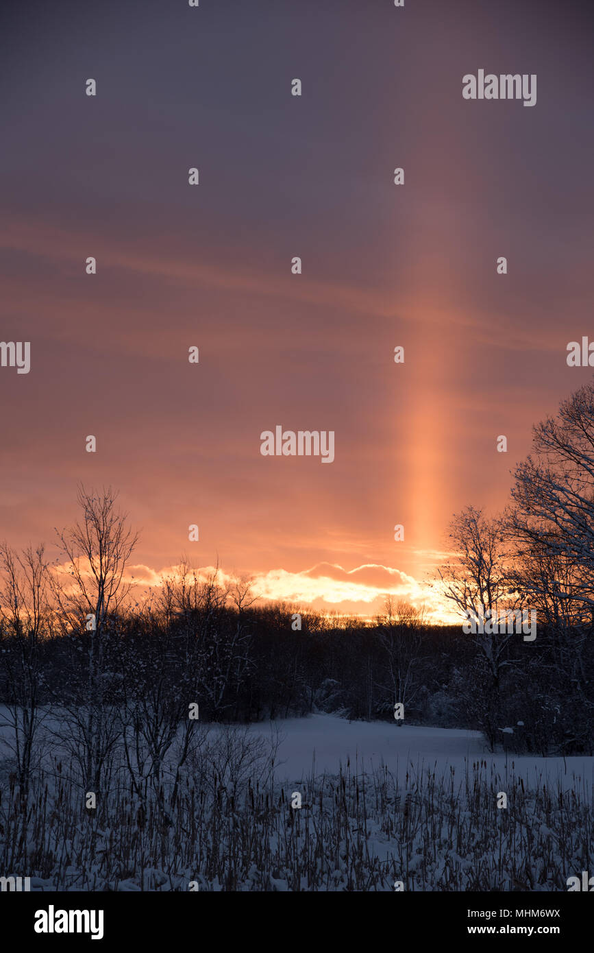 Rock Prato Area di Conservazione in Belmont, MA al crepuscolo Foto Stock