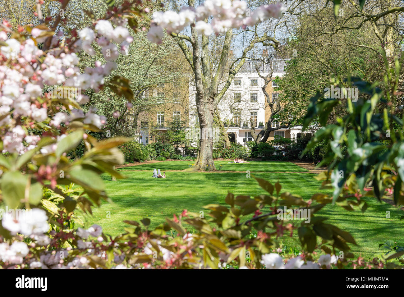 Giardino in primavera, Eaton Square, Belgravia, City of Westminster, Greater London, England, Regno Unito Foto Stock