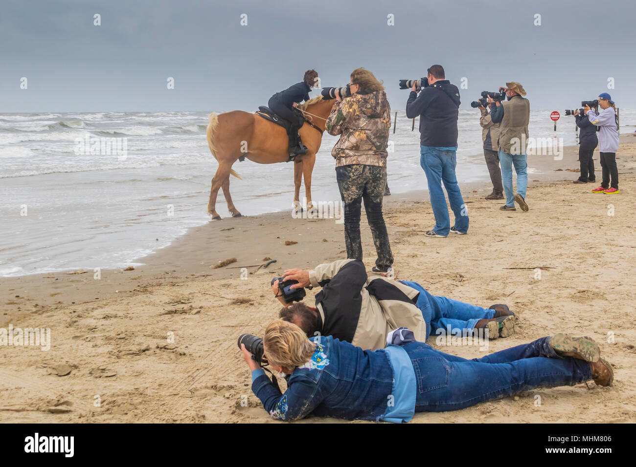 Fotografi a fotografare il cavallo e cavaliere a Galveston Beach. Foto Stock