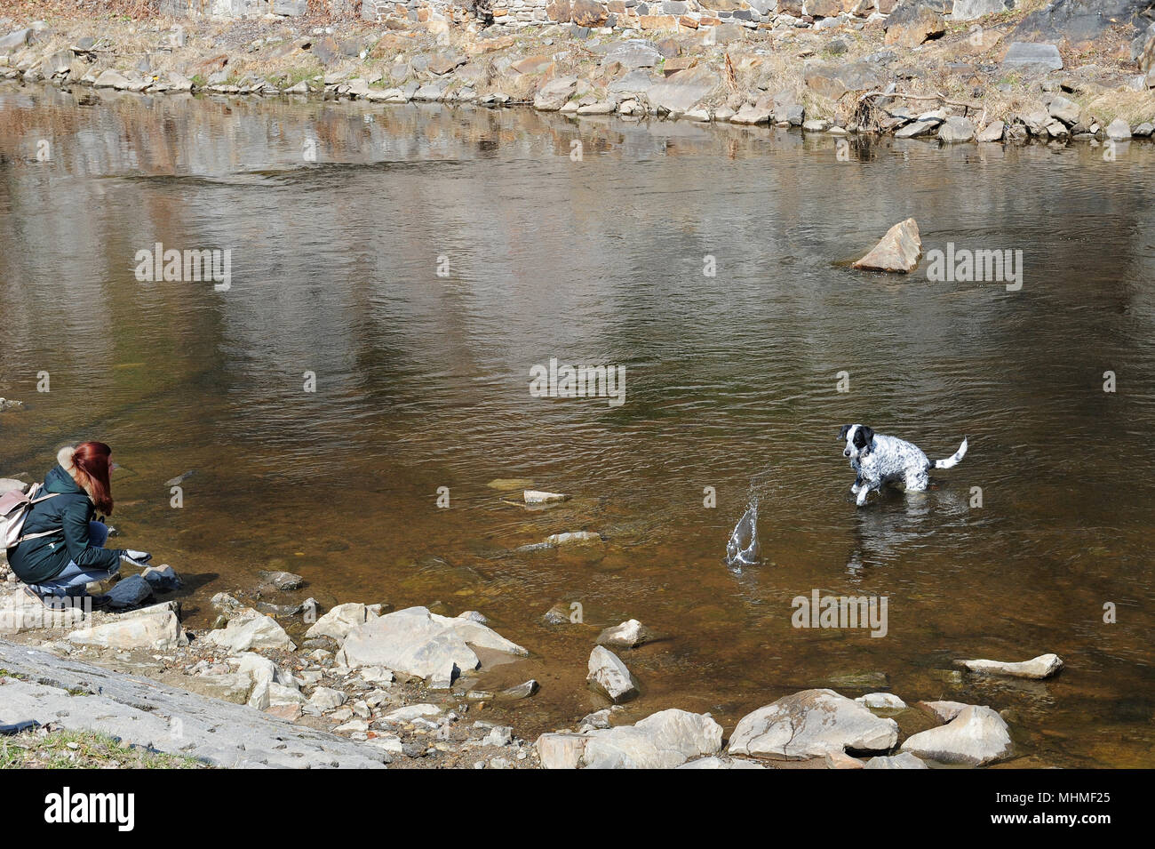 Una donna guarda il suo cane di un tuffo nelle acque del fiume Moldava a Cesky Krumlov, Bohemia Repubblica Ceca Foto Stock