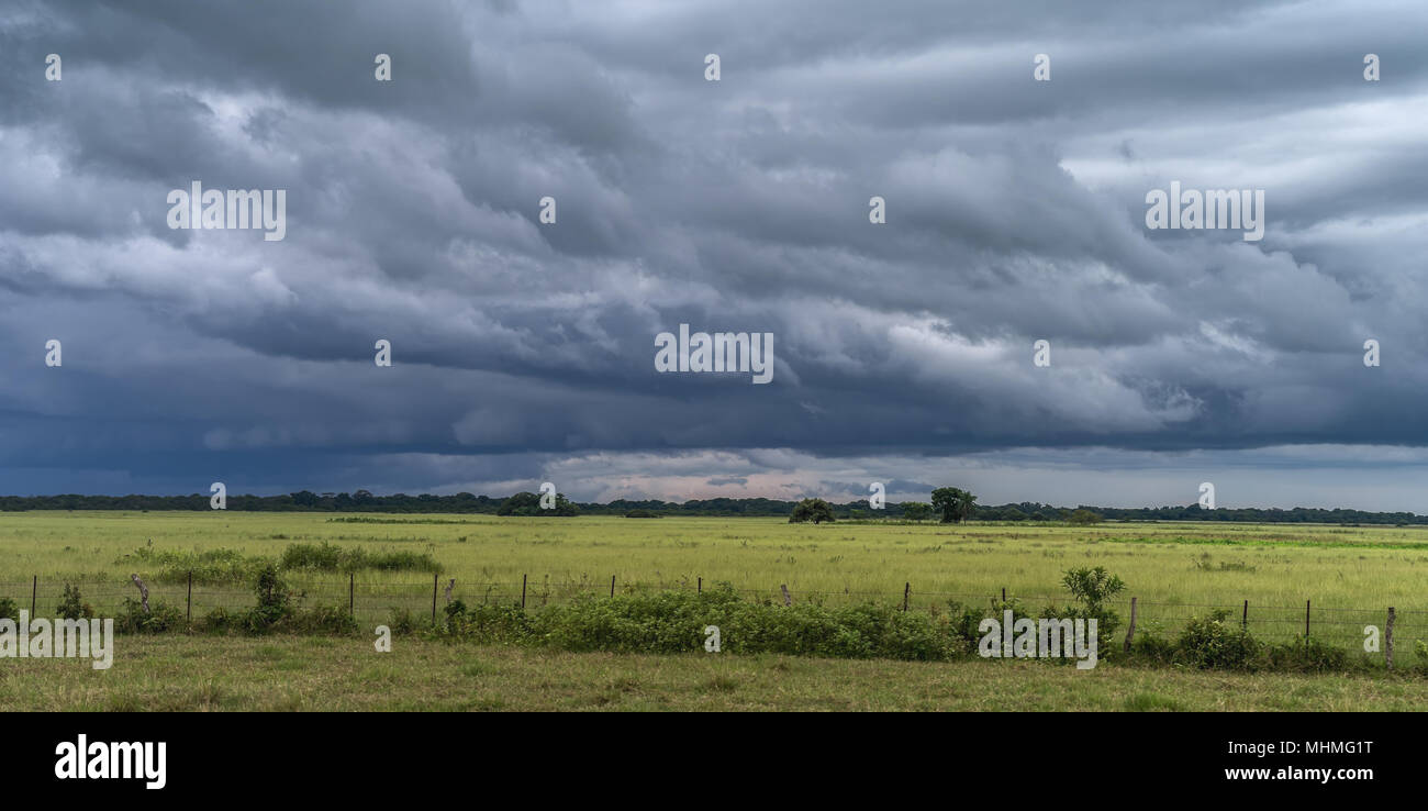 Vista del verde prato sotto nuvole temporalesche. Foto Stock