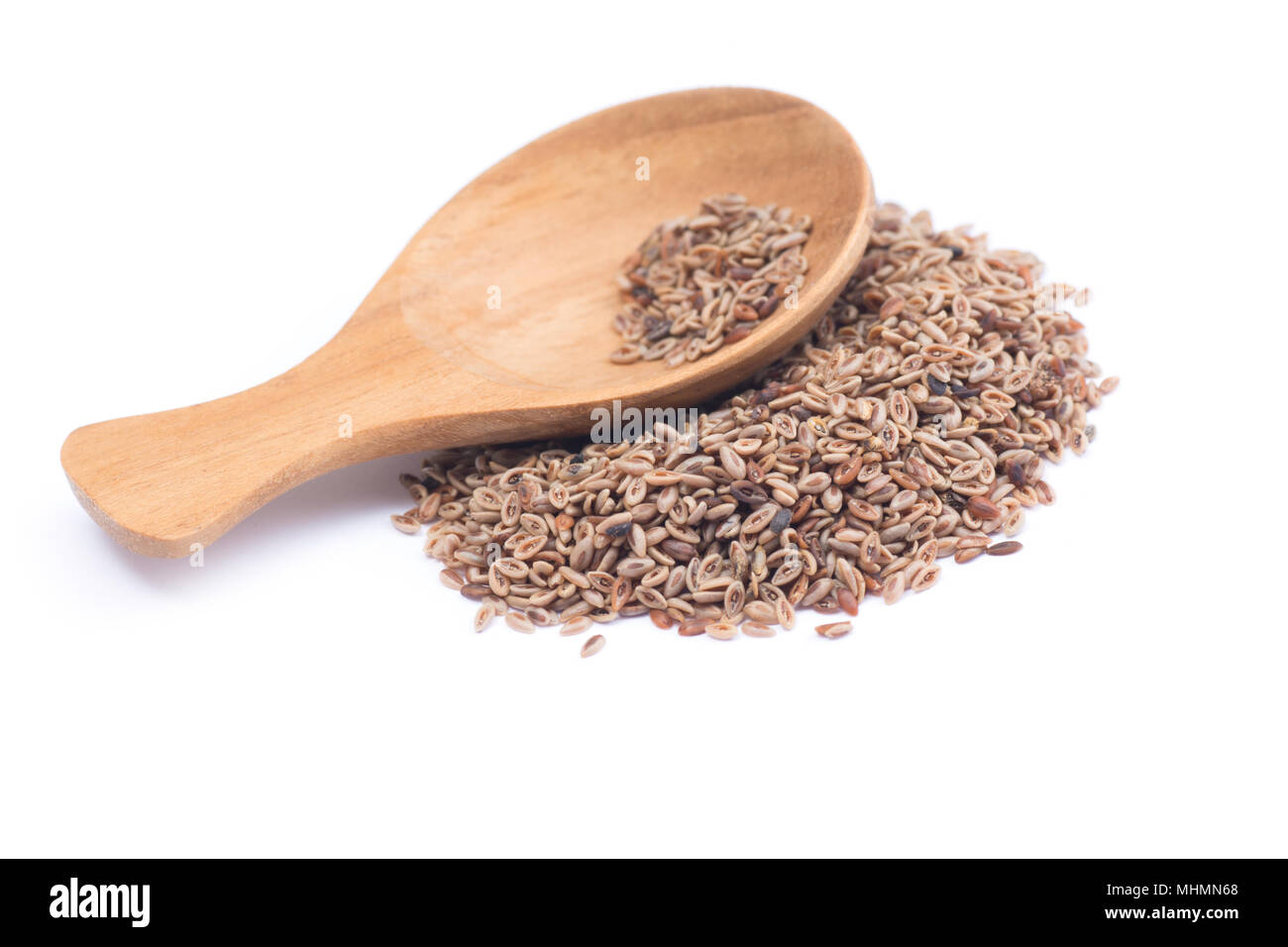 Erbe tailandese nome Planzago ovata Forssk. isolato su sfondo bianco. Thai medicina di erbe concetto. Foto Stock