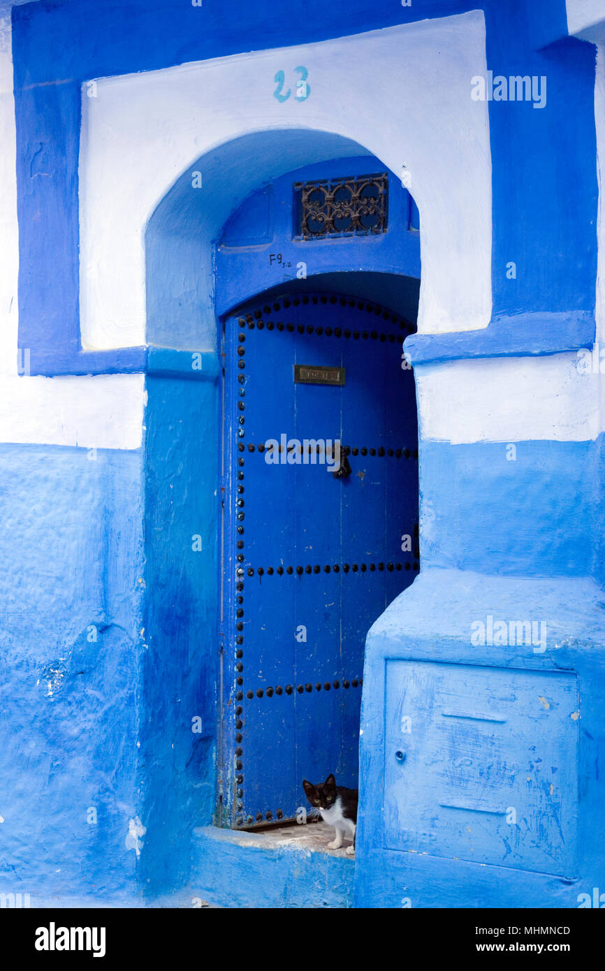 Chefchaouen, Marocco; Street nella città vecchia con tipico blu-pareti dipinte e porte Foto Stock