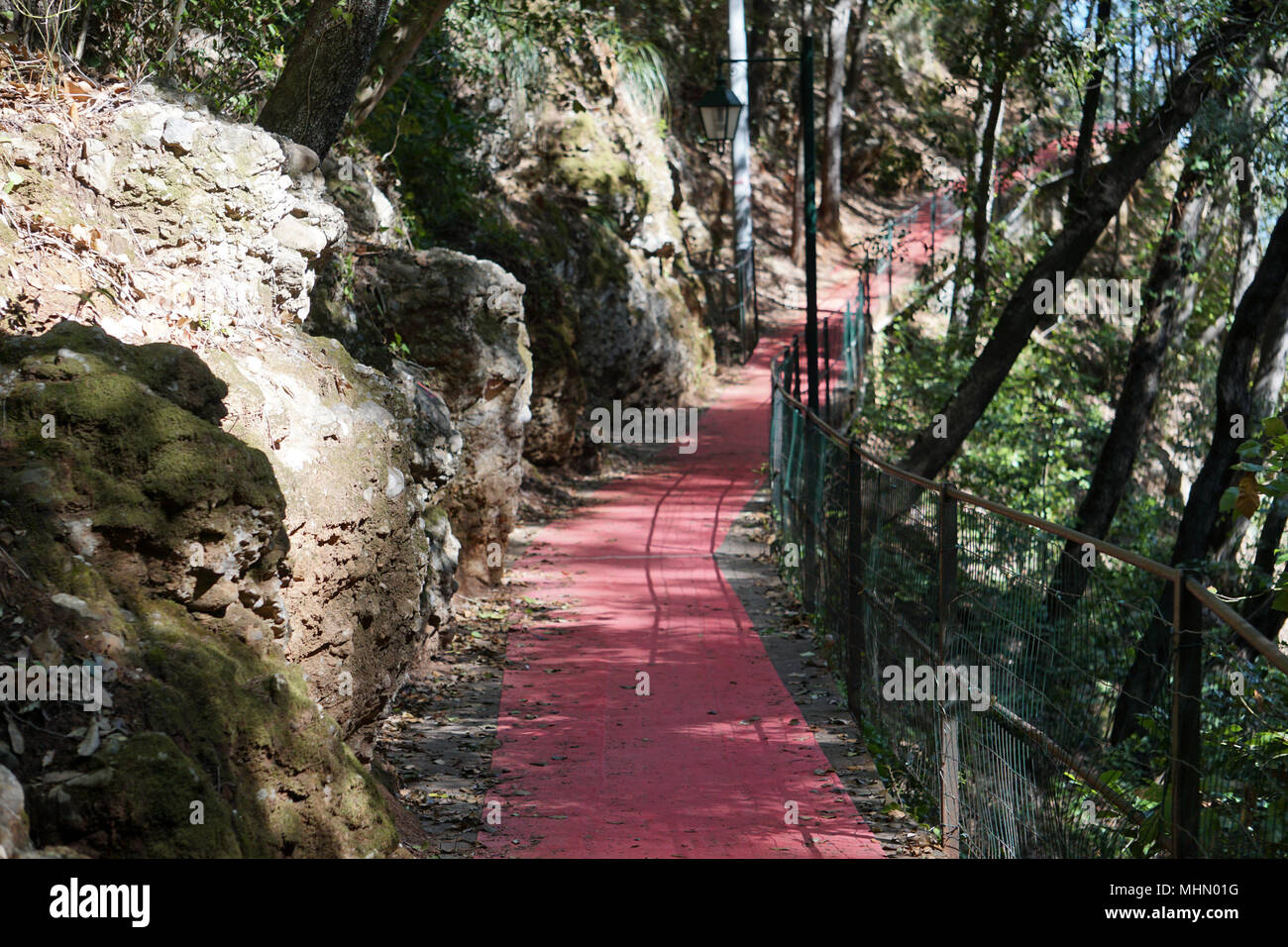 Tappeto rosso a Portofino sentiero natura Foto stock - Alamy