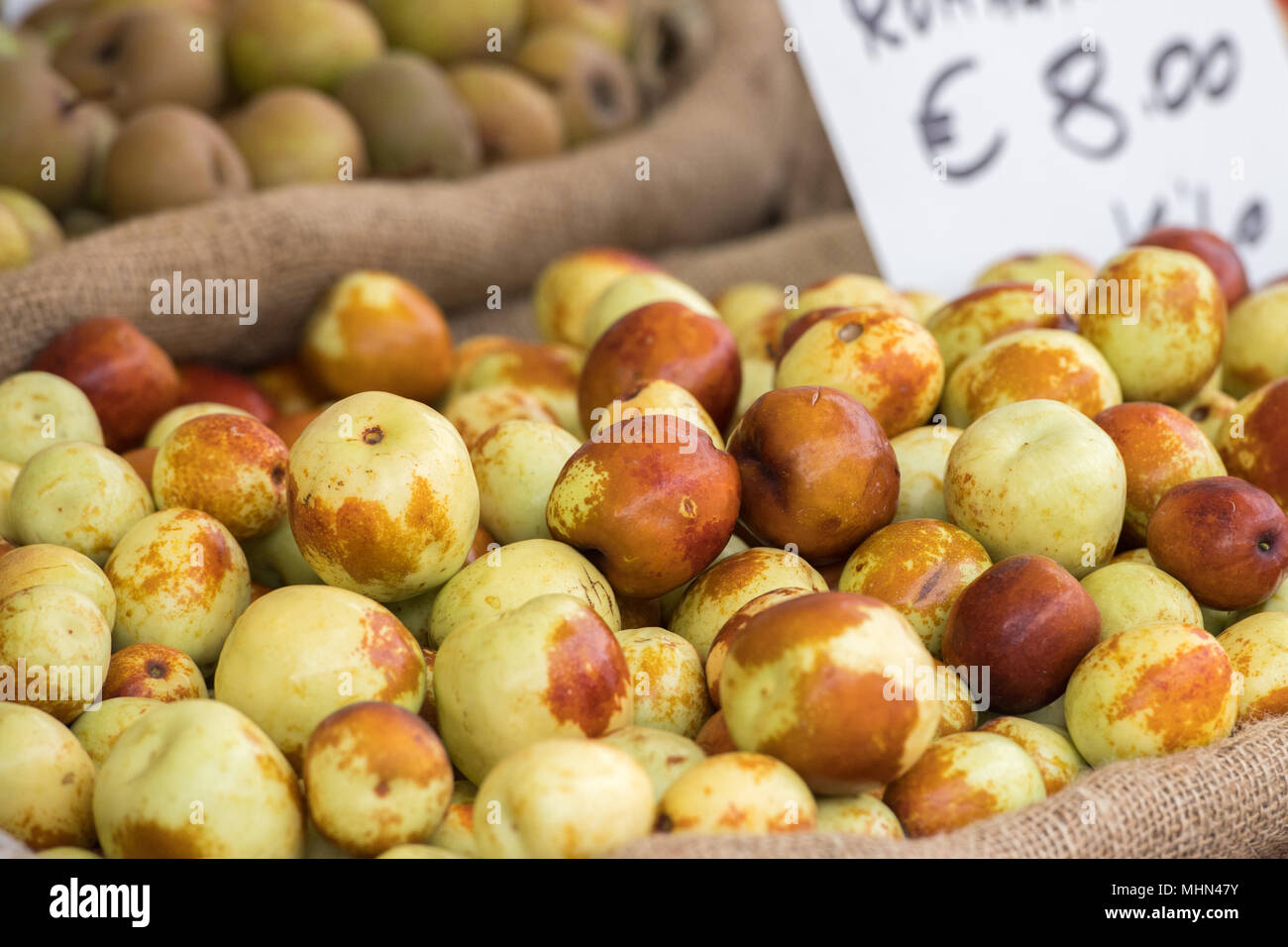 Grande giuggiola immagini e fotografie stock ad alta risoluzione - Alamy