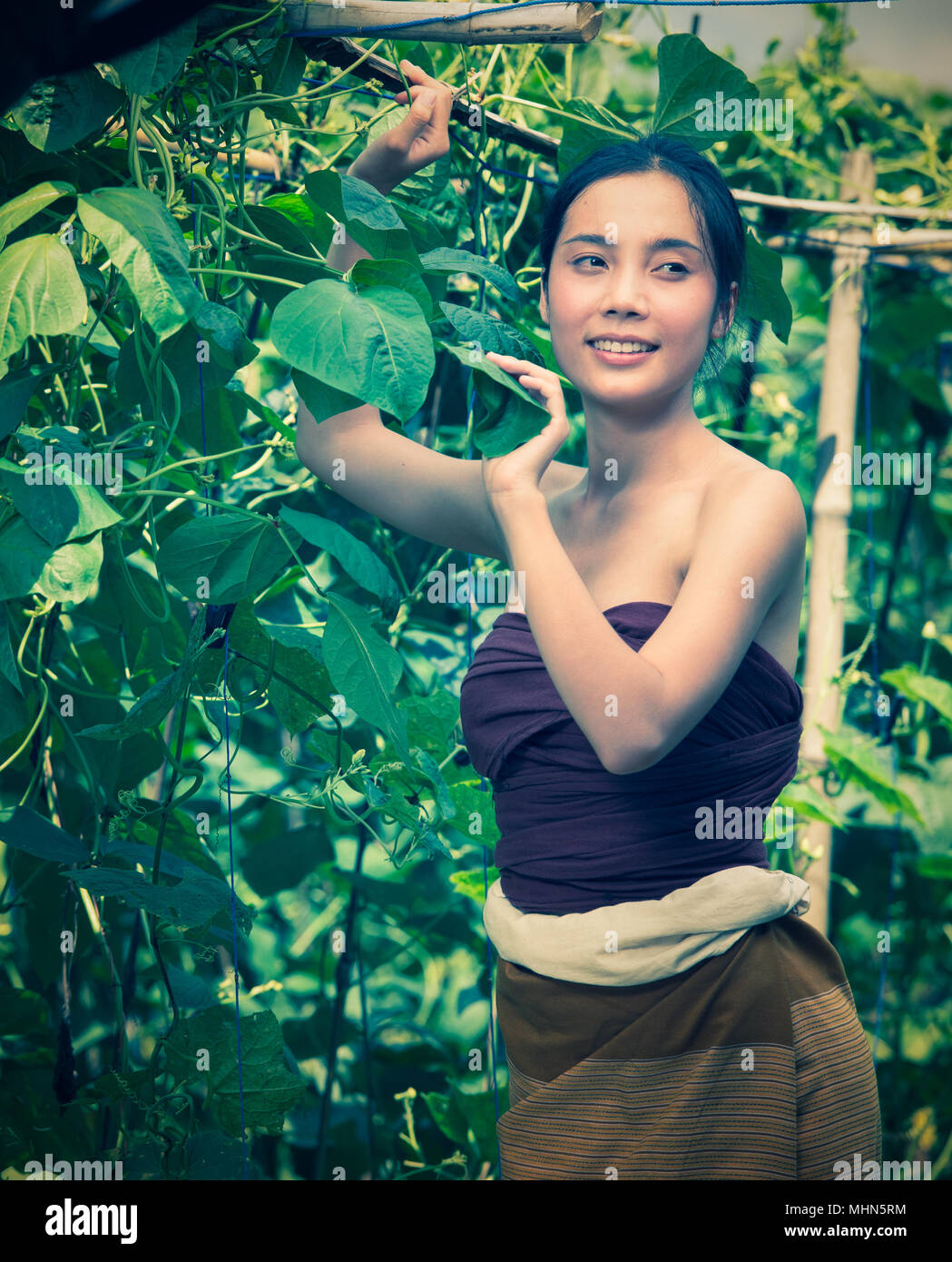 Asia donna bella e cesto contenente la raccolta delle zucchine, chiangrai Thailandia, in stile vintage, aggiungi grana Foto Stock