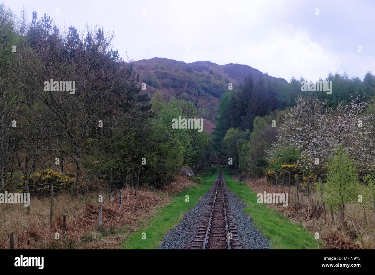 Via attraverso il distretto del lago della stretta guage Ravenglass & Eskdale heritage ferrovie a vapore Foto Stock