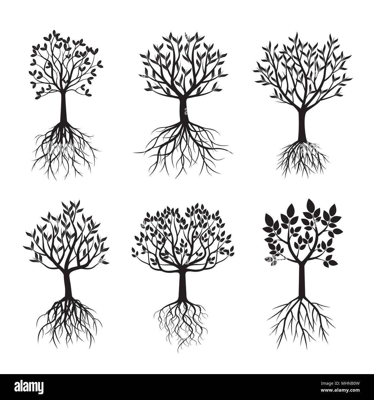 Insieme di alberi di nero con radici e foglie. Illustrazione Vettoriale. Foto Stock