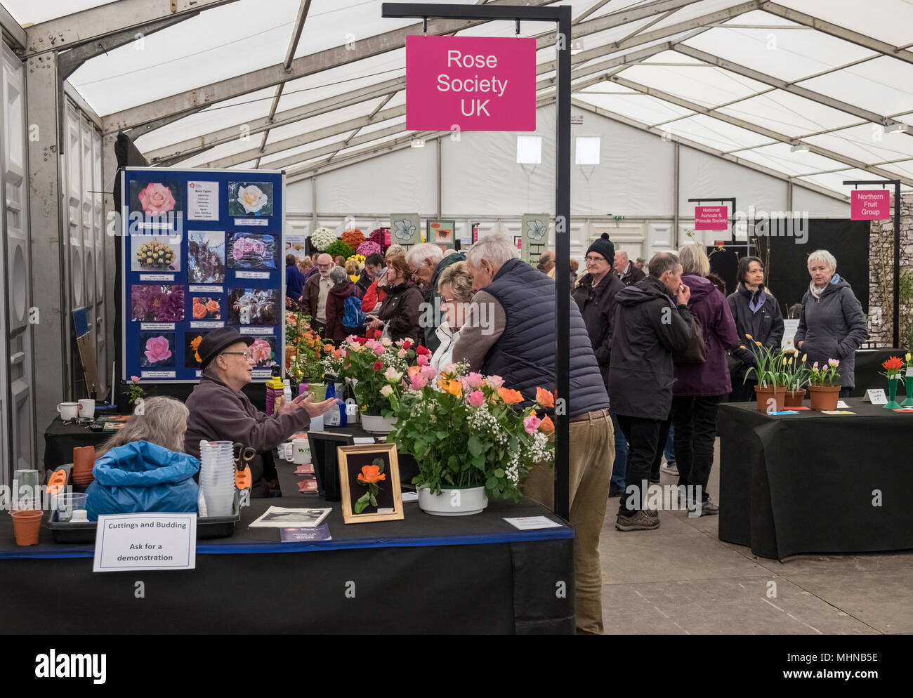 I visitatori in una discussione con gli esperti presso il Rose Society UK stallo, Harrogate Flower Show, North Yorkshire, Inghilterra, Regno Unito Foto Stock