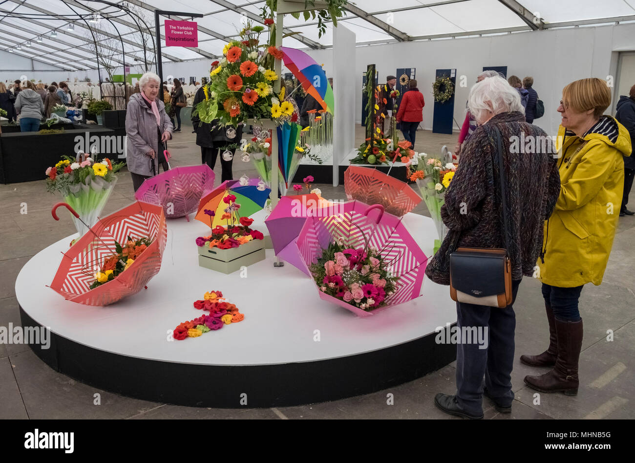 I visitatori la visualizzazione presenta in arte floreale visualizza a Harrogate Flower Show, North Yorkshire, Inghilterra, Regno Unito Foto Stock