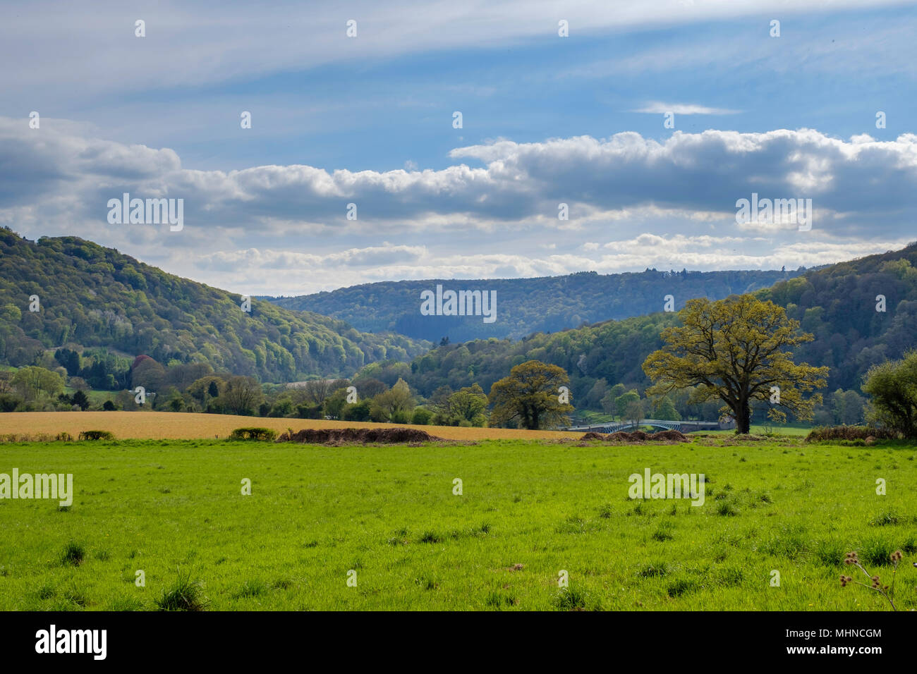 La molla nella valle del Wye a ponte Bigsweir. Foto Stock