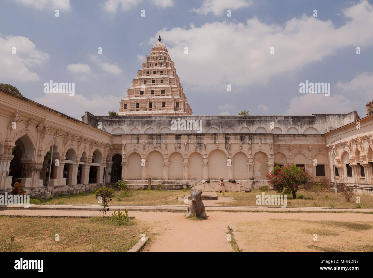 Asia, India, nello Stato del Tamil Nadu, Thanjavur, Thanjavur Maratti Palace Foto Stock