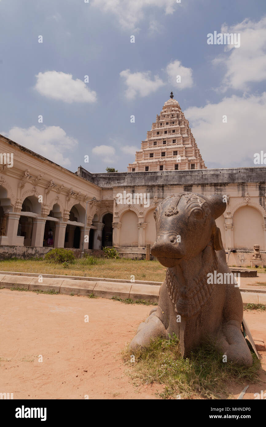 Asia, India, nello Stato del Tamil Nadu, Thanjavur, Thanjavur Maratti Palace Foto Stock