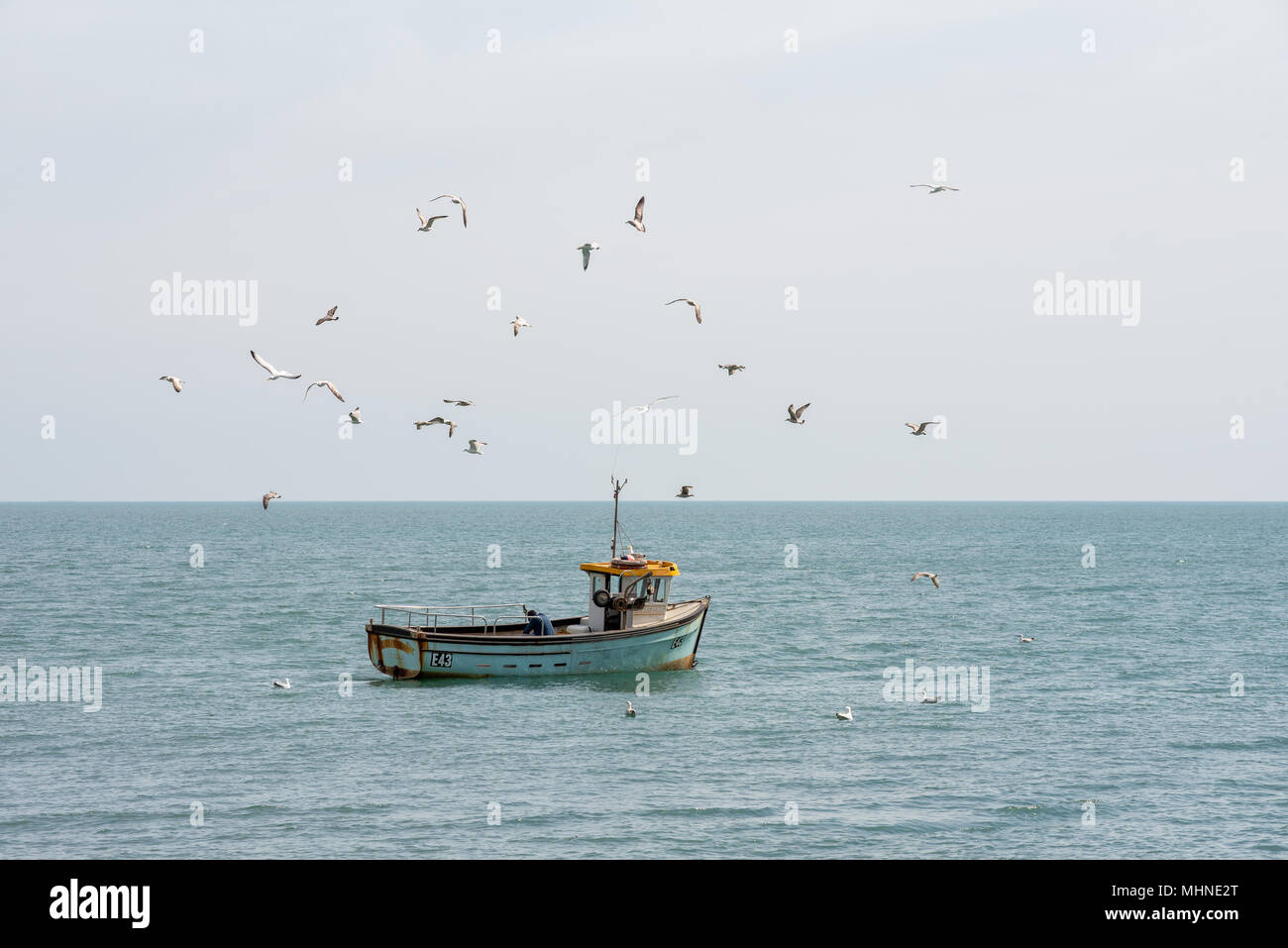 Un piccolo e tradizionale barca da pesca in un mare calmo è swarmed dai gabbiani e gabbiani. Foto Stock