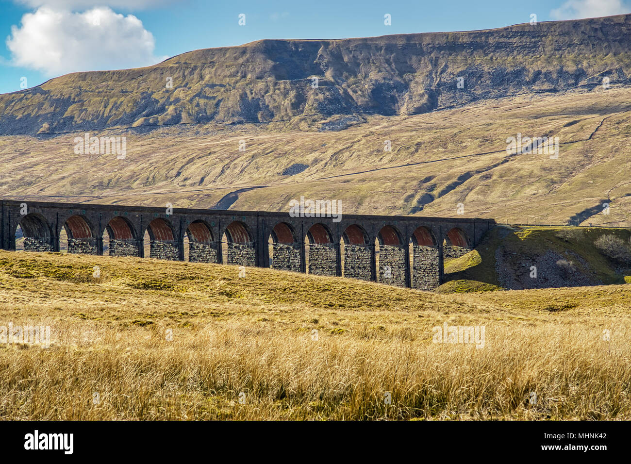 Una vista obliqua del viadotto Ribblehead. Foto Stock