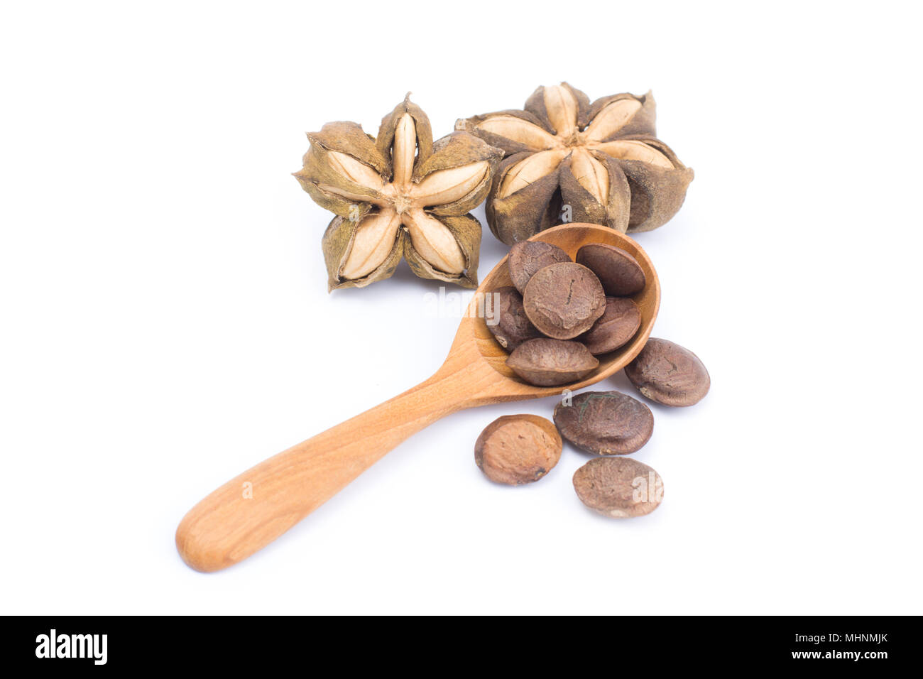 Plukenetia volubilis o sacha inchi arachide semi in cucchiaio di legno isolato su sfondo bianco Foto Stock