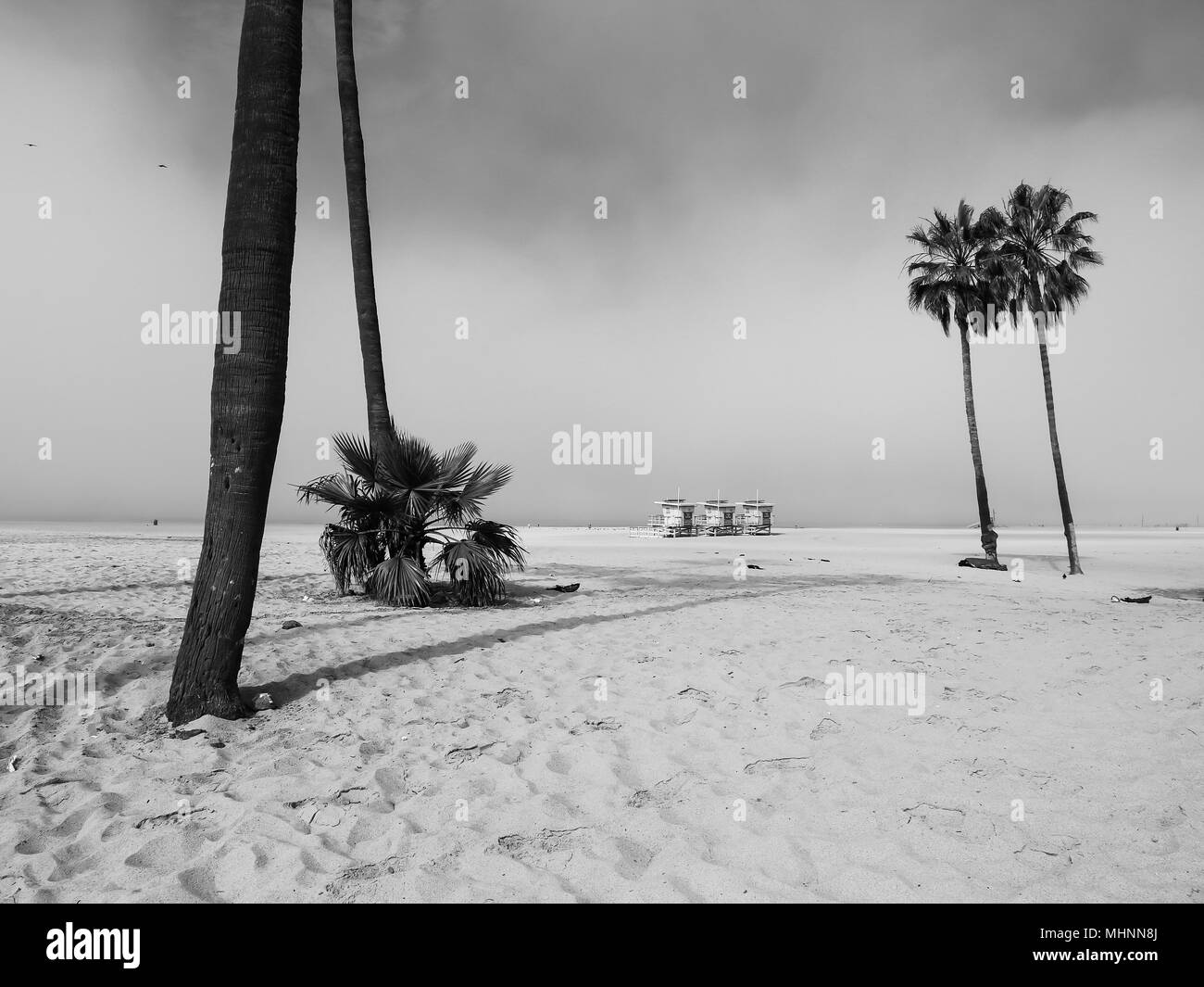 Bagnino cabine e le palme in spiaggia venezia Foto Stock