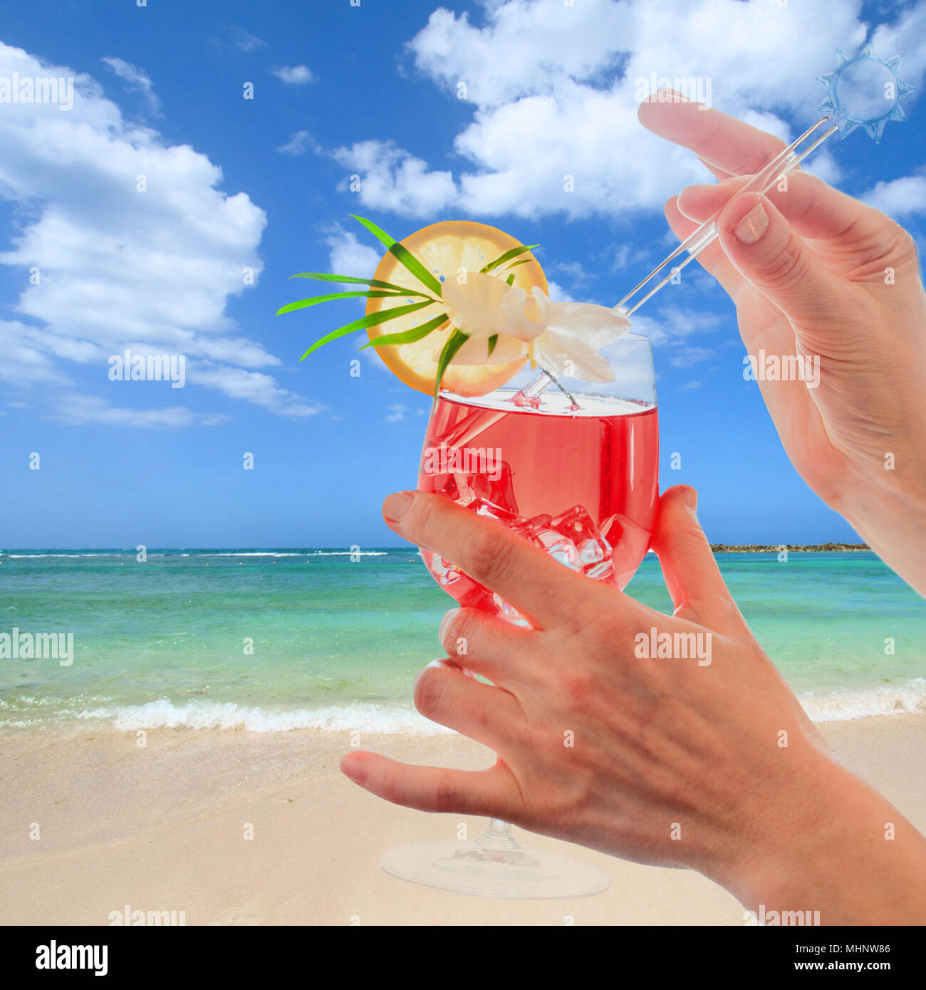 DUOWEI Divertente Hawaii Tropicale Frutta Cocktail Margarita Portachiavi per Donne Ragazze Auto Chiavi Portafoglio Regali Accessori (Ananas