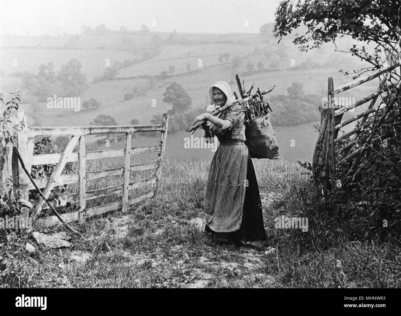 Countrywoman la raccolta di legna da ardere in Inghilterra rurale. Data: 1890s Foto Stock