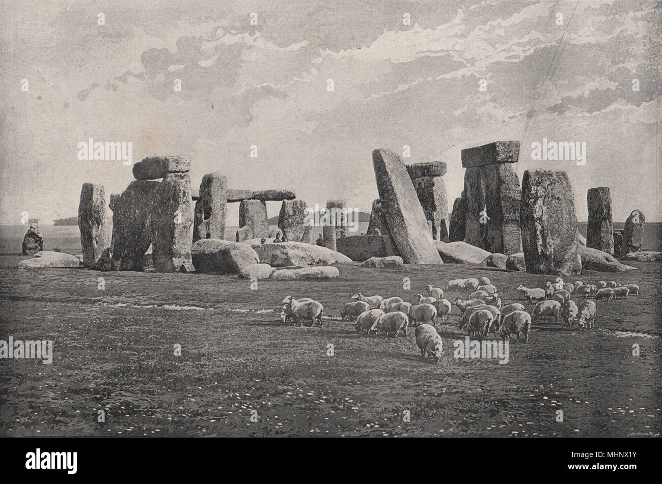 STONEHENGE. con pecore al pascolo. Wiltshire 1900 antica immagine di stampa Foto Stock