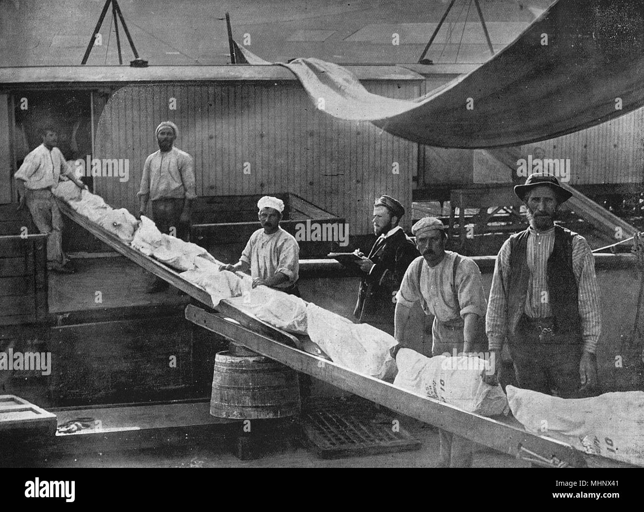 Carico di carni congelate in un porto della Nuova Zelanda Foto Stock