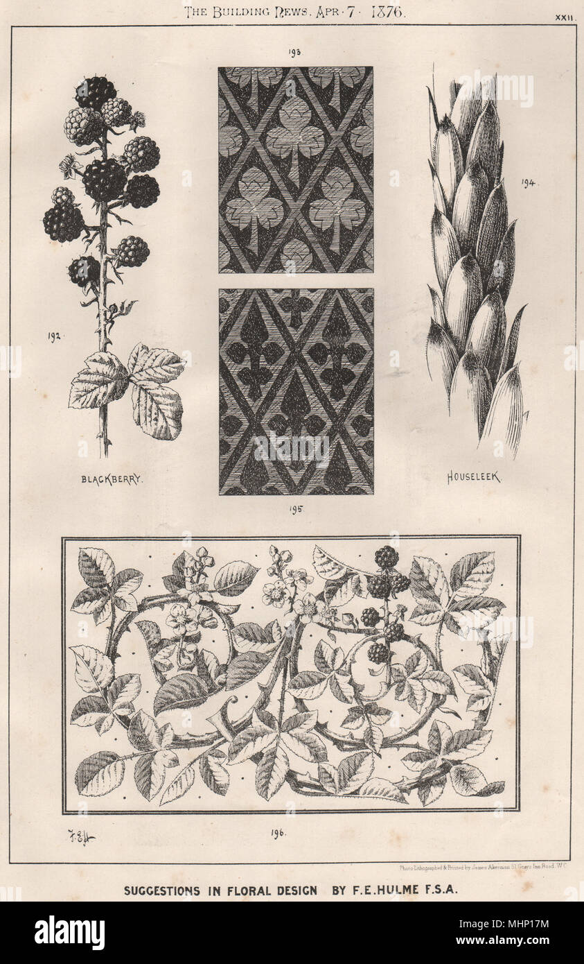 Suggerimenti di sentori floreali; Design by F.E. Hulme F.S.A.. (Decorativi 20) 1876 stampare Foto Stock