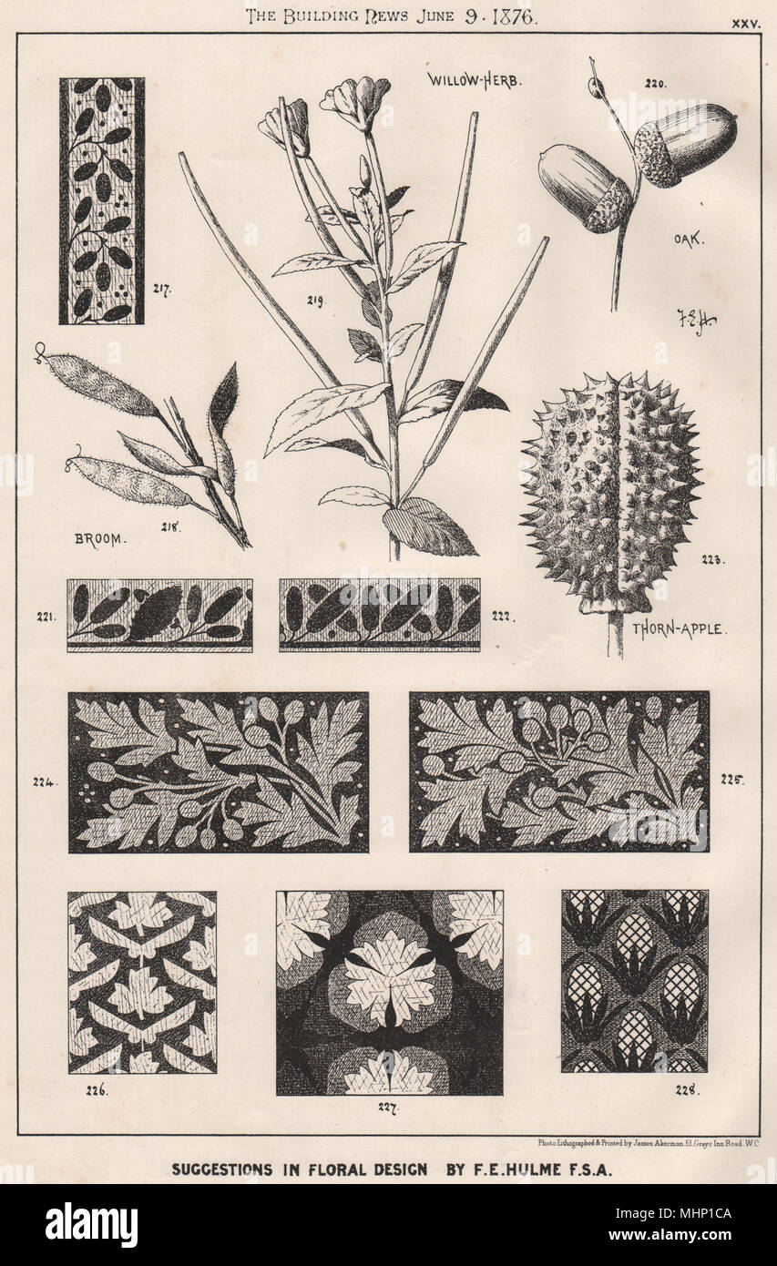 Suggerimenti di sentori floreali; design by F.E. Hulme F.S.A.. Botanical (2) 1876 stampare Foto Stock