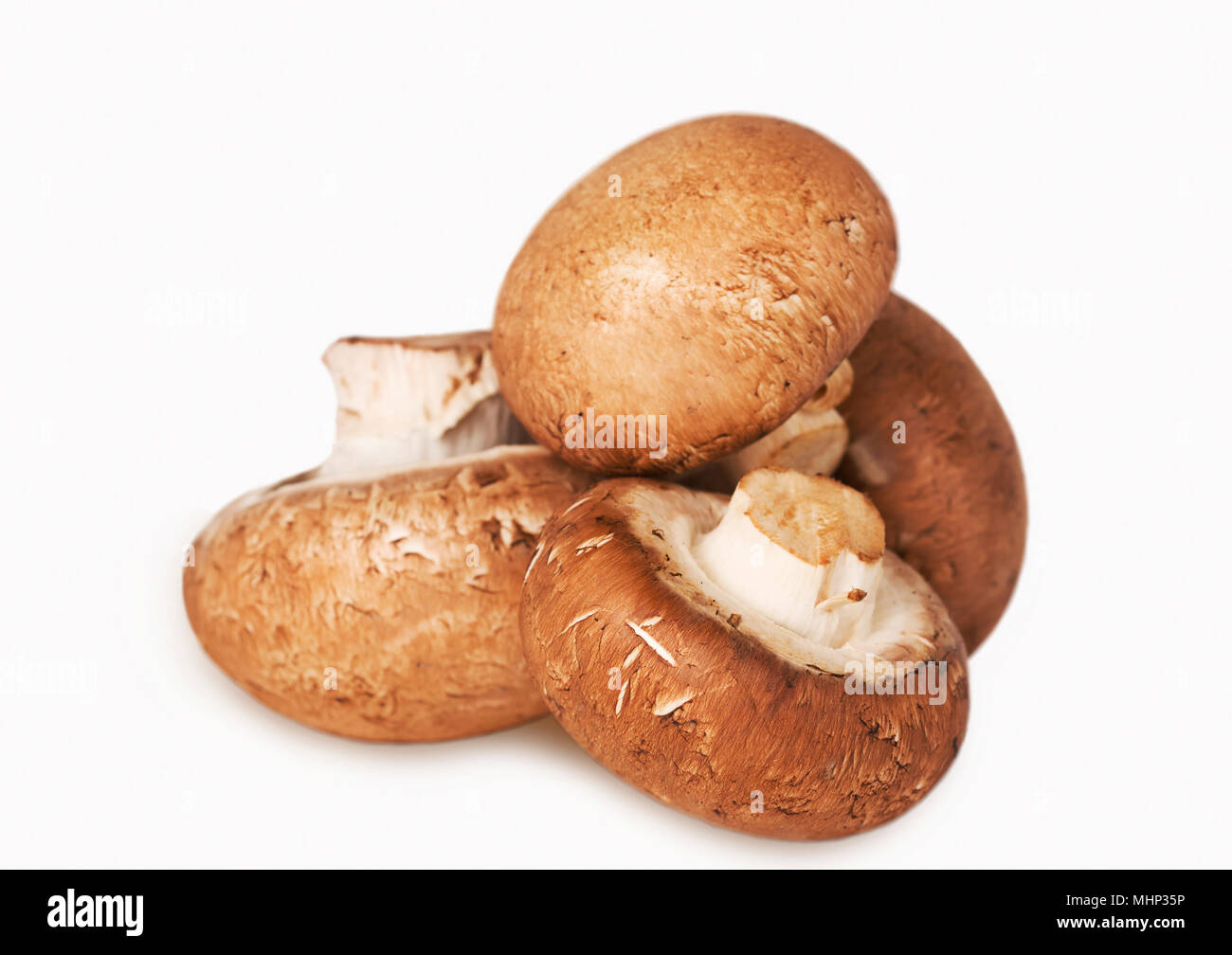 Fresca bruna funghi champignon isolato su uno sfondo bianco Foto Stock
