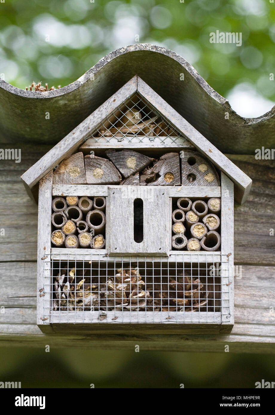 Un bug house per incoraggiare insetti utili nel giardino. Foto Stock