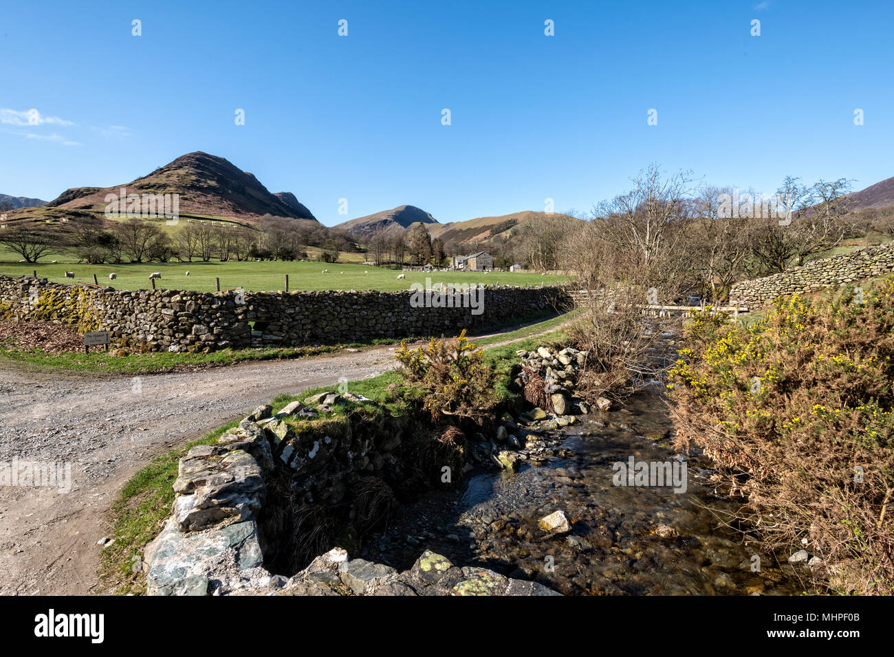 Hindscarth e Robinson visto dal bellissimo Newlands Valley vicino a cittadina Foto Stock