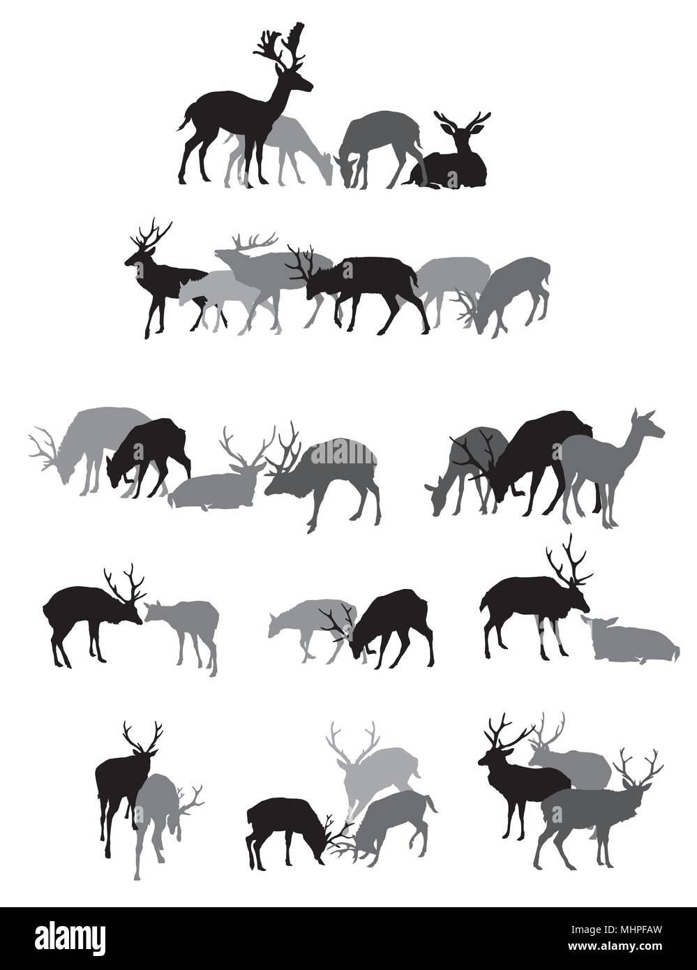 Gruppo di nero e grigio silhouettes isolato di cervi (maschio femmina un cervo) in piedi,passeggiate e giacente isolati su sfondo bianco. Vector illust Illustrazione Vettoriale